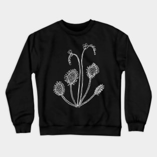 Drosera rotundifolia round leaved sundew Plant Botanical Drawing Carnivorous Plant Crewneck Sweatshirt